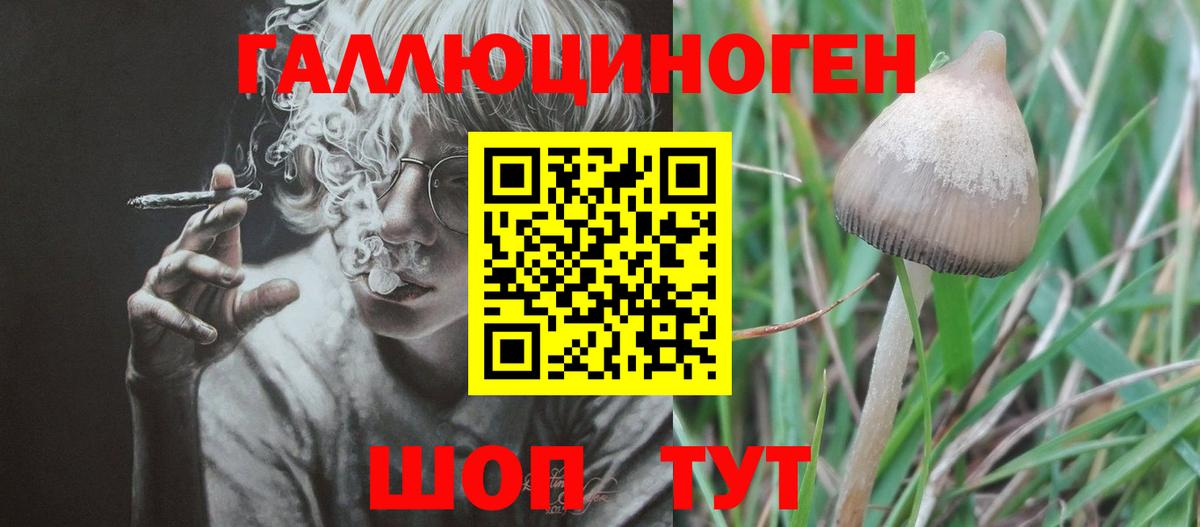 Галлюциногенные грибы MAGIC MUSHROOMS Омск