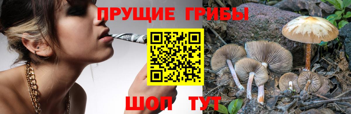 даркнет сайт  Вход с VPN  Омск  Галлюциногенные грибы прущие грибы 